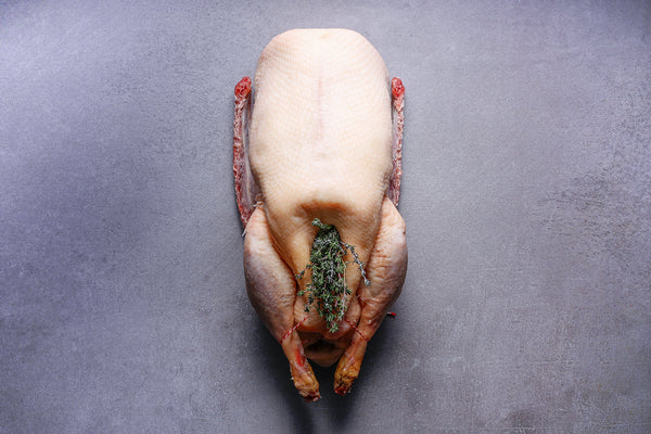 Free Range Goose | HG Walter Ltd