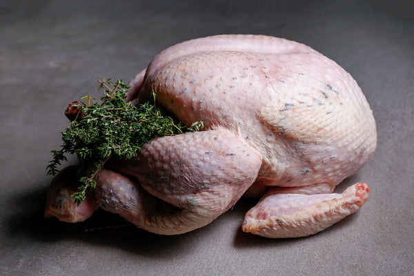 Free Range Bronze Turkey - Best British meat by Family-run butchers London | Eat better meat!