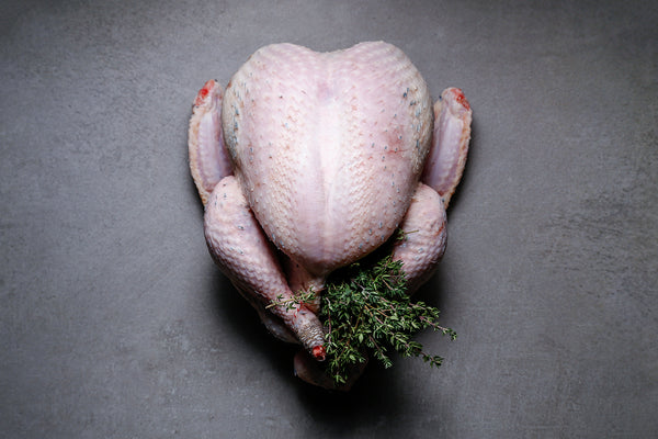 Free Range Bronze Turkey - Best British meat by Family-run butchers London | Eat better meat!