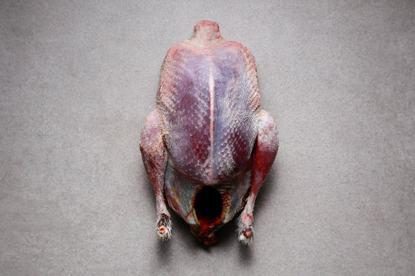 Tender Young Grouse | HG Walter Ltd